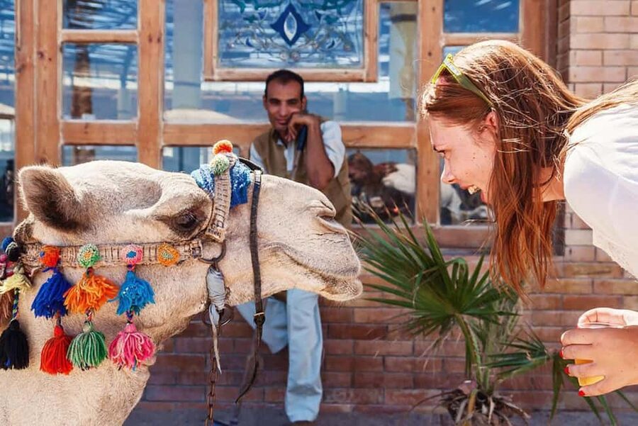 Marsa Alam Bedouin Nights: Jeep Safari, Dinner & Stargazing - Campfire tea and local stories