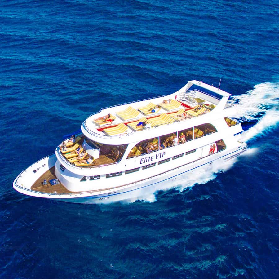 Marsa Alam: Elite vip Turtle bay snorkeling with BBQ Lunch - Leaving Port Ghalib Marina