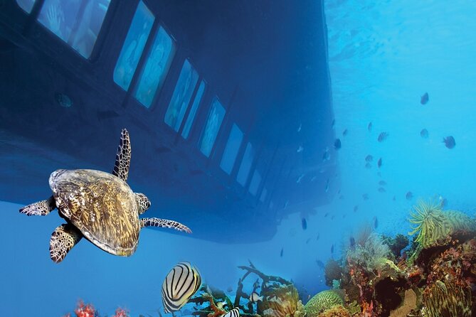 Marsa Alam: Royal Seascope Submarine Cruise with Pickup - What the Royal Seascope cruise actually offers