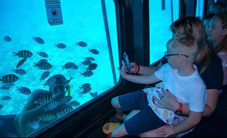 Marsa Alam: Royal Seascope Submarine Cruise with Pickup - Practical advice for a smoother outing