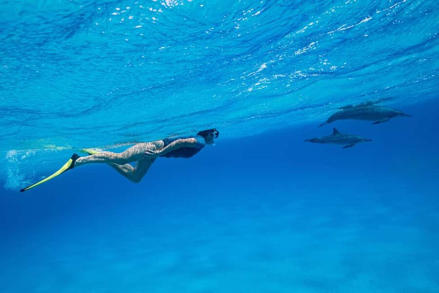 Marsa Alam:Sataya Reefs Dolphin Snorkeling Cruise with Lunch - Reaching the marina and boarding the boat