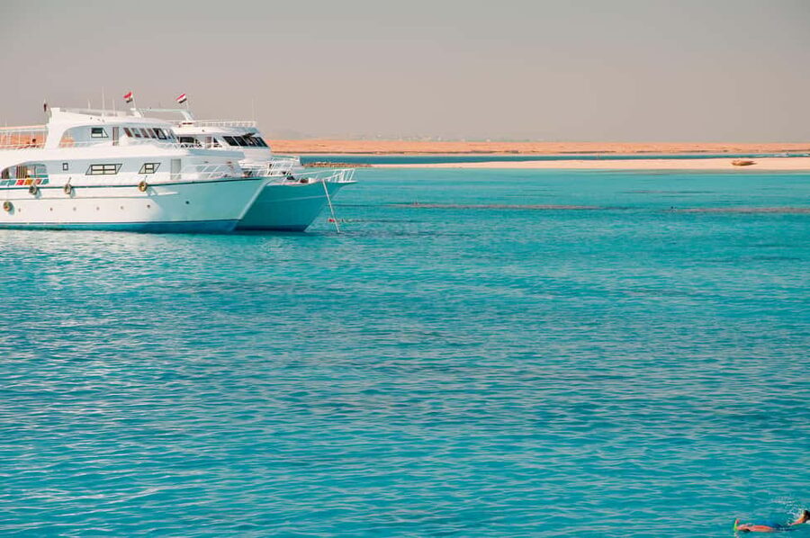 Marsa Alam:Sataya Reefs Dolphin Snorkeling Cruise with Lunch - What the $90 price really covers