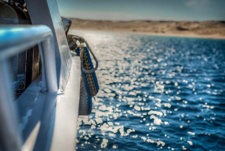 Marsa Alam:Sataya Reefs Dolphin Snorkeling Cruise with Lunch - Who should book this Sataya trip?