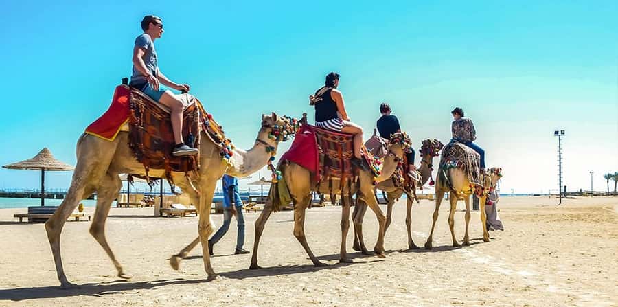 Marsa Alam: Sea and Desert Camel Riding Tour - Key points before you book