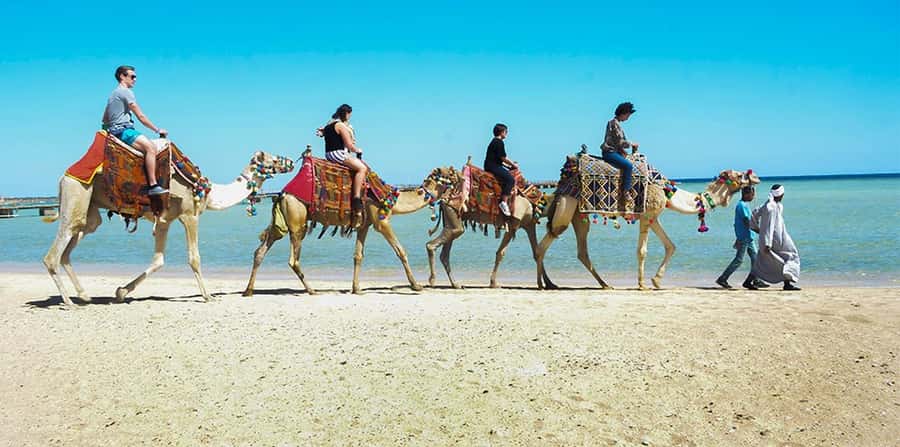 Marsa Alam: Sea and Desert Camel Riding Tour - Across the desert on a two-hour route