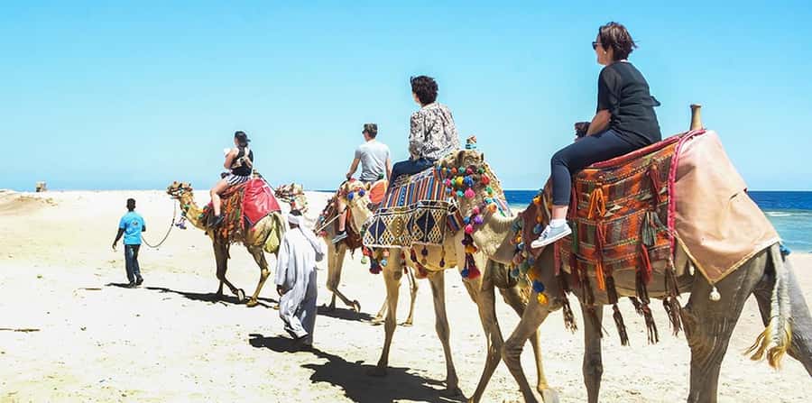 Marsa Alam: Sea and Desert Camel Riding Tour - The optional swim and what to clarify