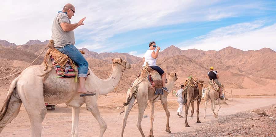Marsa Alam: Sea and Desert Camel Riding Tour - Animal care, comfort, and rider limits