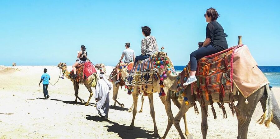 Marsa Alam: Sea and Desert Camel Riding Tour - What to bring and how to dress