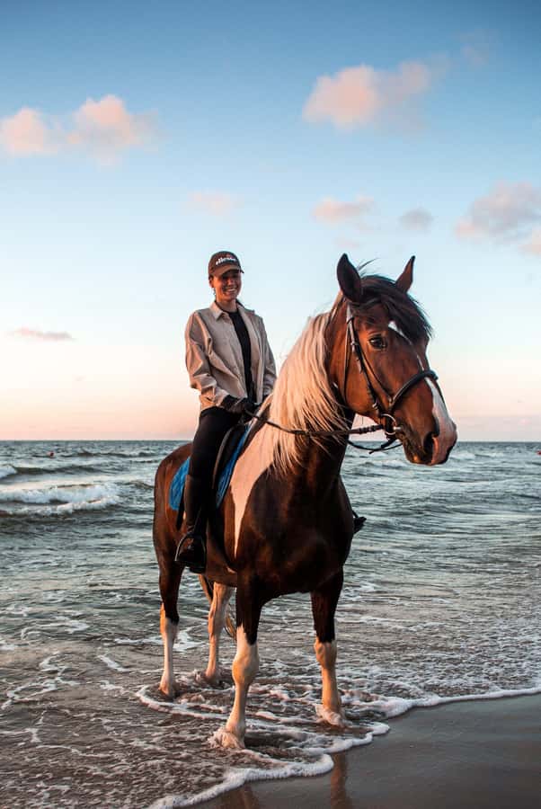 Marsa Alam: Sea and Desert Horse Riding Tour - Key points at a glance
