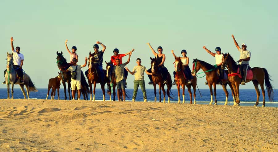 Marsa Alam: Sea and Desert Horse Riding Tour - Who should book, and who should skip it?