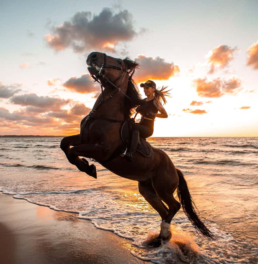 Marsa Alam: Sea and Desert Horse Riding Tour - Why this Marsa Alam ride is worth your time