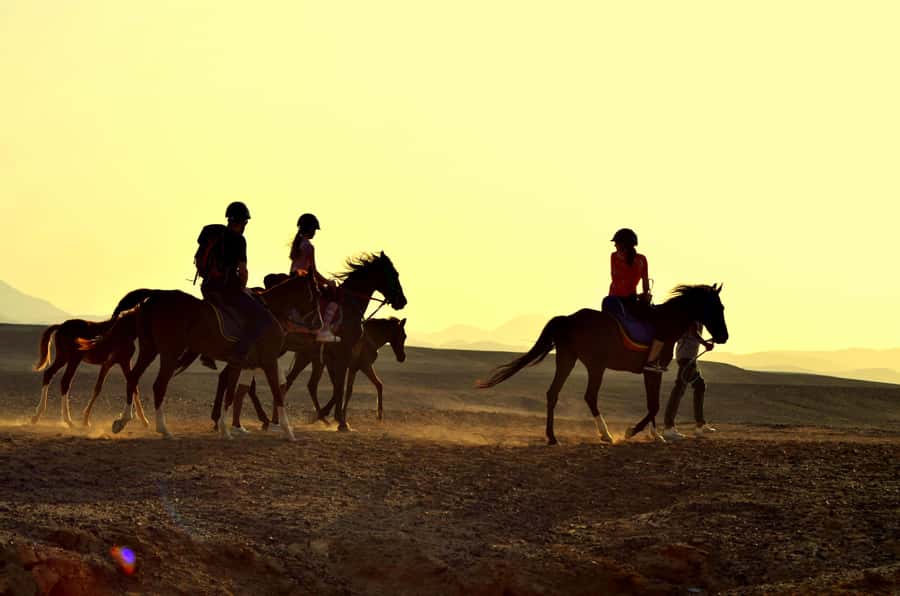 Marsa Alam: Sea and Desert Horse Riding Tour - What the two-hour route feels like