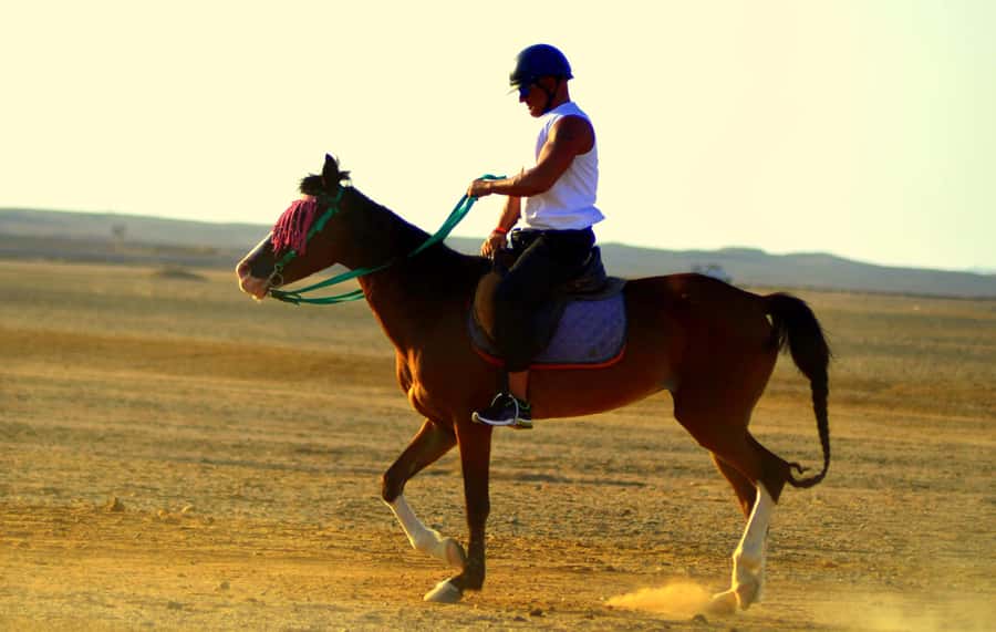 Marsa Alam: Sea and Desert Horse Riding Tour - The four-hour VIP ride and sea swim