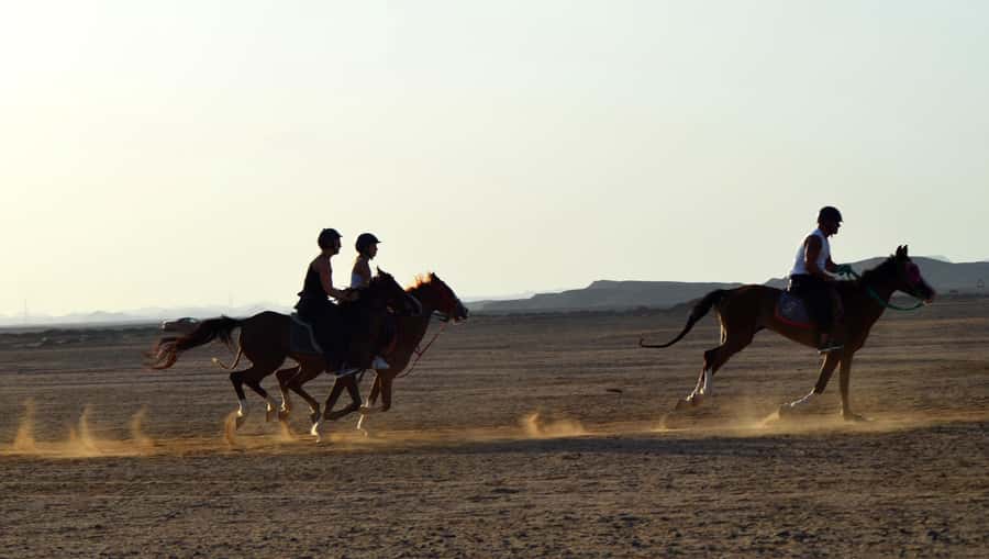 Marsa Alam: Sea and Desert Horse Riding Tour - Hotel transfers from Coraya Bay, Port Ghalib, and beyond