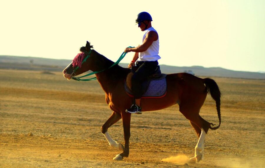 Marsa Alam: Sea and Desert Horse Riding Tour - Price, value, and what is included