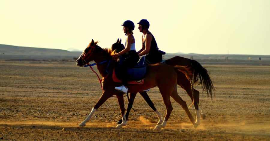 Marsa Alam: Sea and Desert Horse Riding Tour - From the stable to the Red Sea