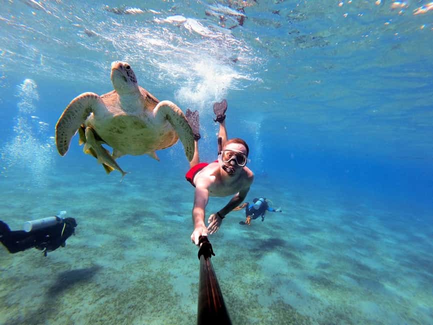 Marsa Alam: Snorkeling with Sea Turtles Marsa Mubarak - From Marsa Alam to the Marsa Mubarak reef