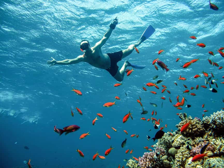 Marsa Alam: Snorkeling with Sea Turtles Marsa Mubarak - Lunch, drinks, and time on deck