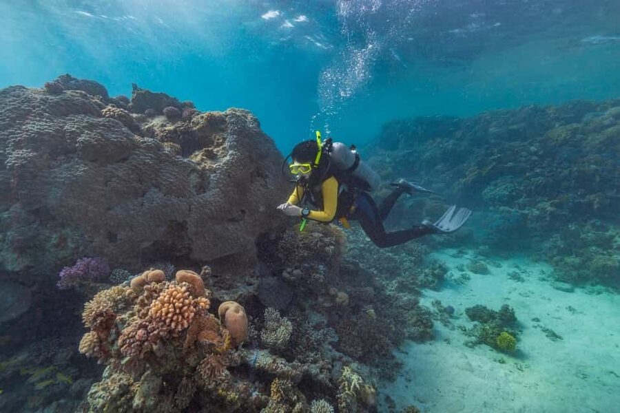 Marsa Alam: Snorkeling with Sea Turtles Marsa Mubarak - Crew care and communication