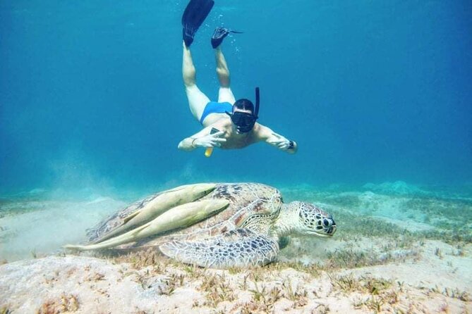 Marsa Mubarak snorkeling with dugong and turtles - marsaalam - Lunch onboard between the snorkeling stops