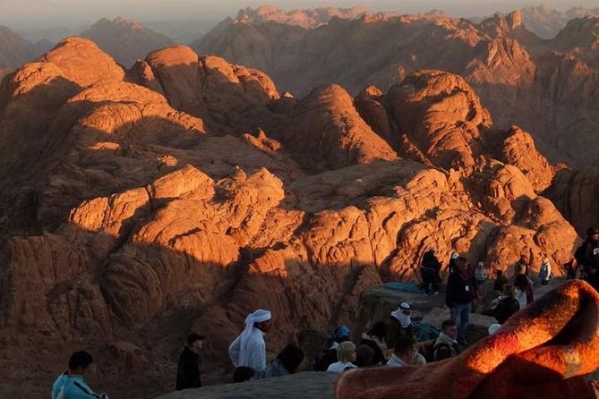 Mount Sinai & St.Catherine Monastery - How hard is the tour?