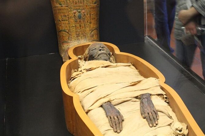 National Museum of Egyptian Civilization Private Guided Tour - Chronological galleries: Egypt from prehistory to today