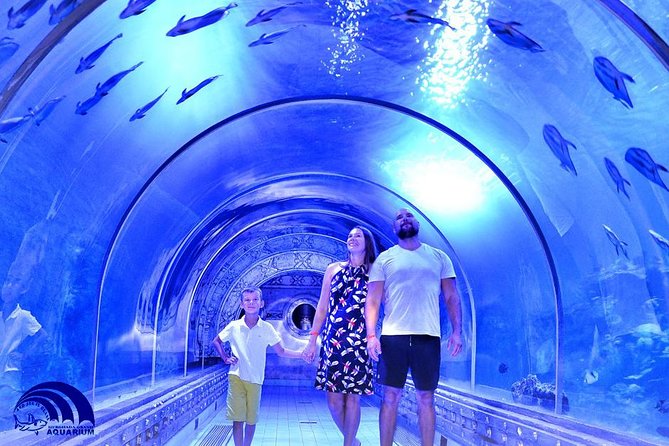 Official Account: Hurghada Grand Aquarium Entrance Tickets - What the $29.97 ticket actually gives you