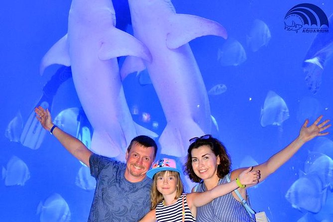 Official Account: Hurghada Grand Aquarium Entrance Tickets - Shark feeding at 11:00 am and 3:00 pm