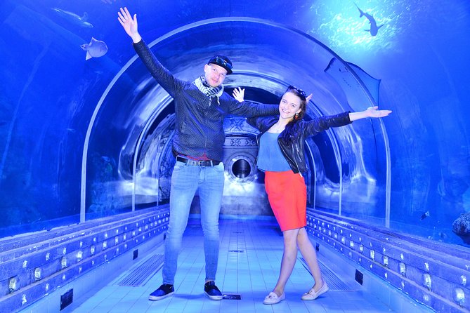 Official Account: Hurghada Grand Aquarium Entrance Tickets - Touch tank, rope bridge, and small zoo
