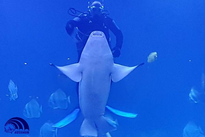 Official Account: Hurghada Grand Aquarium Entrance Tickets - Arriving at the aquarium and handling the ticket