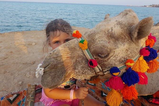 One hour Camel Ride At Amazing Desert With Transfer - Hurghada - One hour on the camel