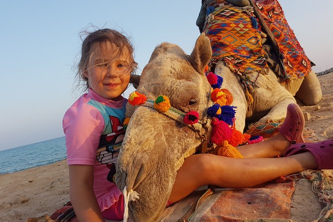 One hour Camel Ride At Amazing Desert With Transfer - Hurghada - Safety, comfort, and what to pack