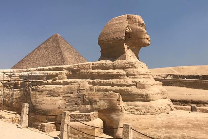 One Package Camel Ride with Giza Pyramids and Egyptian Museum Tour in Cairo - Who should book this Giza and museum tour