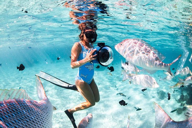 Orange Bay Full-Day Snorkeling With lunch - Timing, weather, and cancellation details