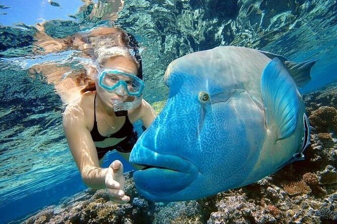 Orange Bay Island 2 Snorkeling Stops Water Sports Romantic Escape - Banana boats and the crazy sofa ride