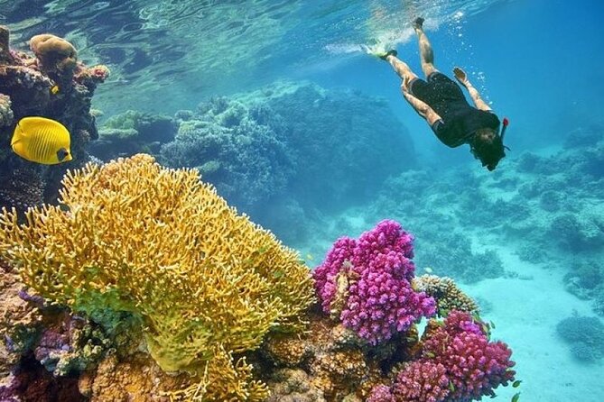 Orange Bay Island 2 Snorkeling Stops Water Sports Romantic Escape - The morning pickup is worth confirming
