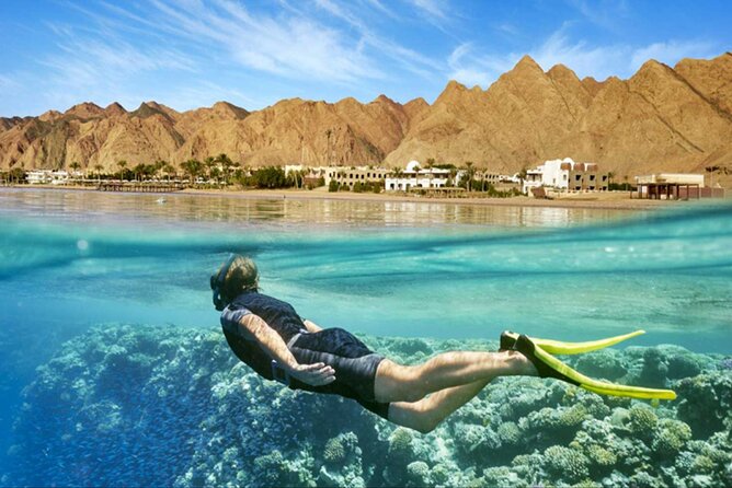Orange Bay island Maldives of Egypt snorkeling Private 4 hours - Two Snorkeling Stops on the Red Sea