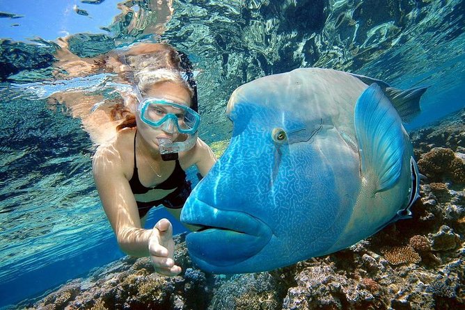Orange Bay Island Snorkeling Trip With Water Sports - Hurghada - Lunch on the boat