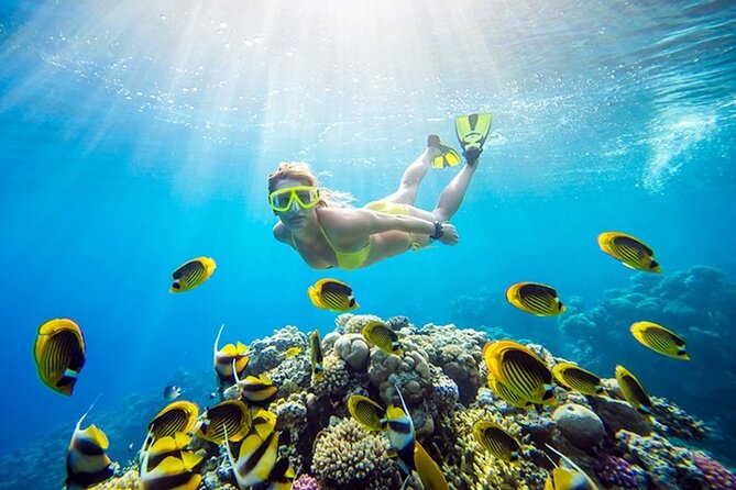 Orange Bay Island Snorkeling with Lunch & Water Sports - Hurghada - Lunch, coffee, tea, and the limits of an included meal