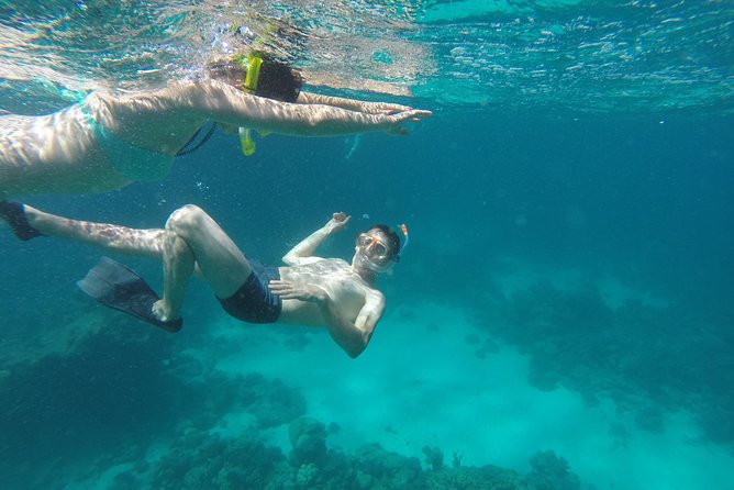 Orange Bay Snorkeling Sea Trip & Water Sports Banana boat & Quadra -Hurghada - Snorkeling above Red Sea coral reefs