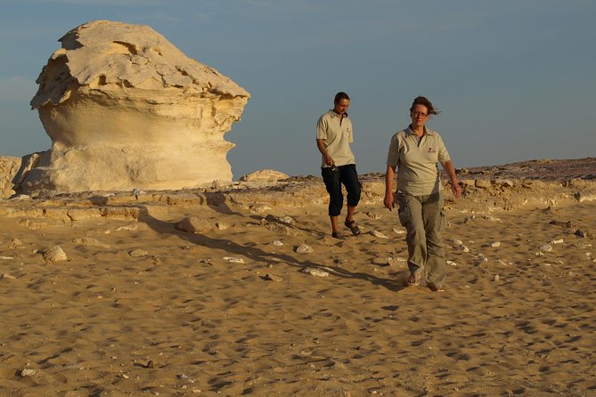 Overnight White Desert Safari Camping from Cairo - Dinner, tents, and a sky without city glare