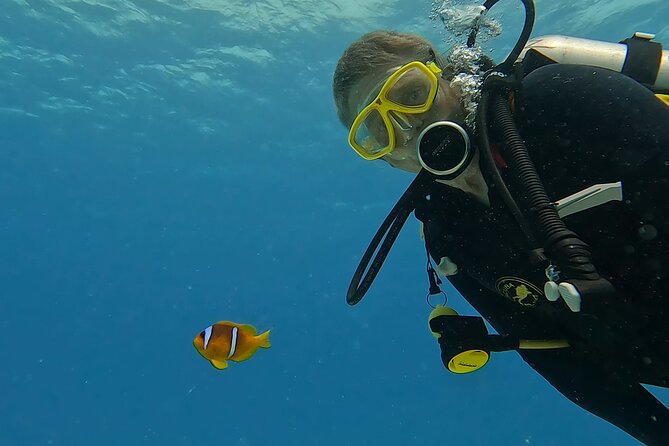 PADI Advanced Diving Course in Hurghada - Learn Scuba Diving - What the PADI Advanced course actually adds