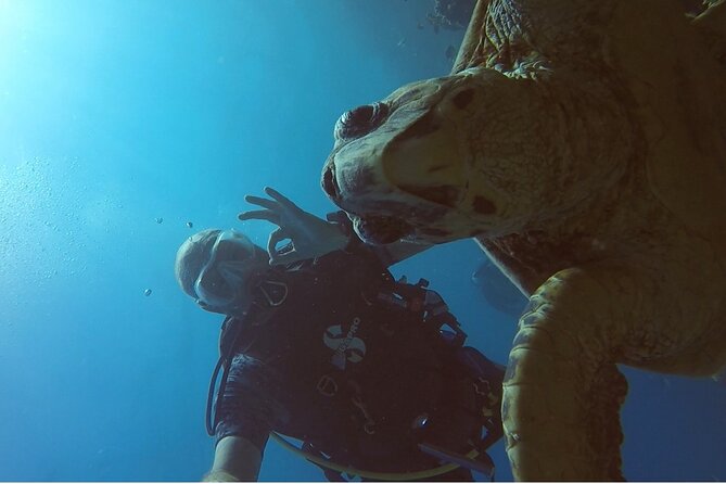 PADI Advanced Diving Course in Hurghada - Learn Scuba Diving - Hurghada and the Red Sea setting