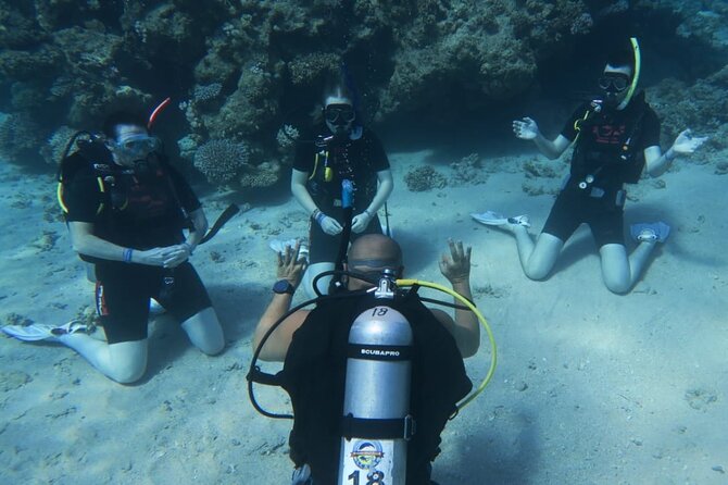 PADI Open Water Diver Course - Why Sharm el Sheikh works so well for beginners