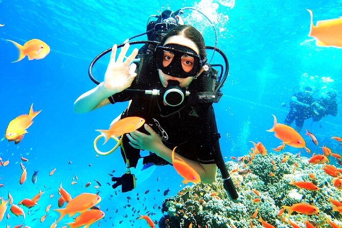 PADI Open Water Diver Course - The instructors make the difference