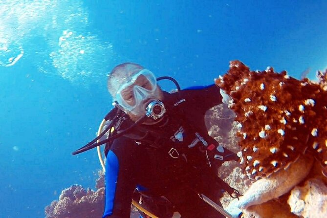 PADI Open Water Diver Course in Hurghada - Learn Scuba Diving - What this three-day Hurghada course really offers