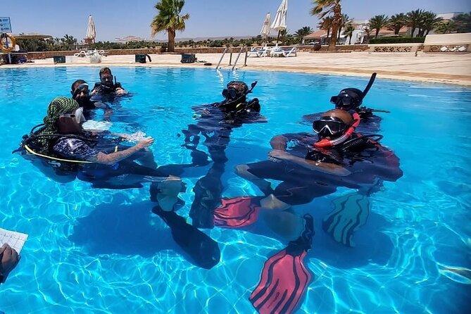 PADI Open Water Diver Course in Hurghada - Learn Scuba Diving - Day one: video instruction and your first two sessions