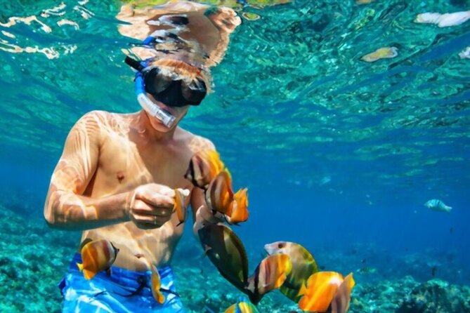 PADI Scuba Diver (PSD) - What the PADI Scuba Diver qualification really means