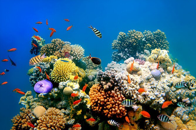 PADI Scuba Diver (PSD) - The instructors are a major part of the value