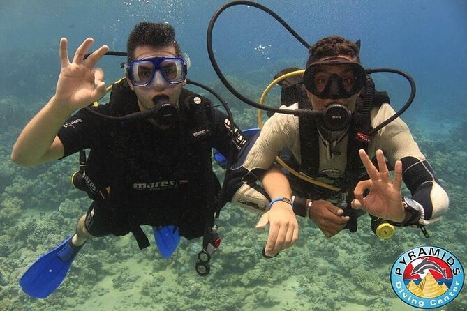 PADI Scuba Diver (PSD) - Safety, health, and flight planning